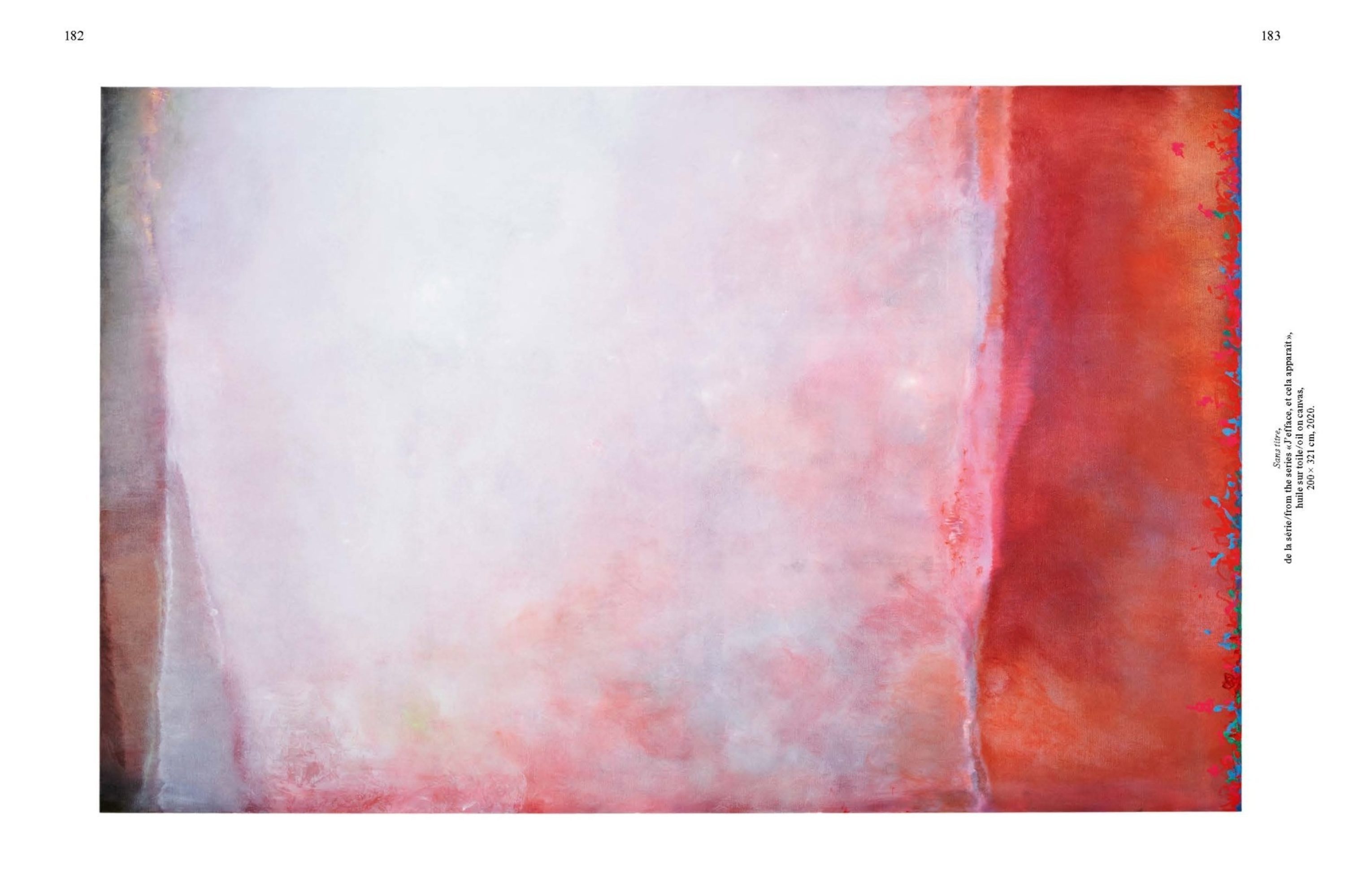 Angel Vergara. In the Instant / Dans l'instant — Axel Vervoordt