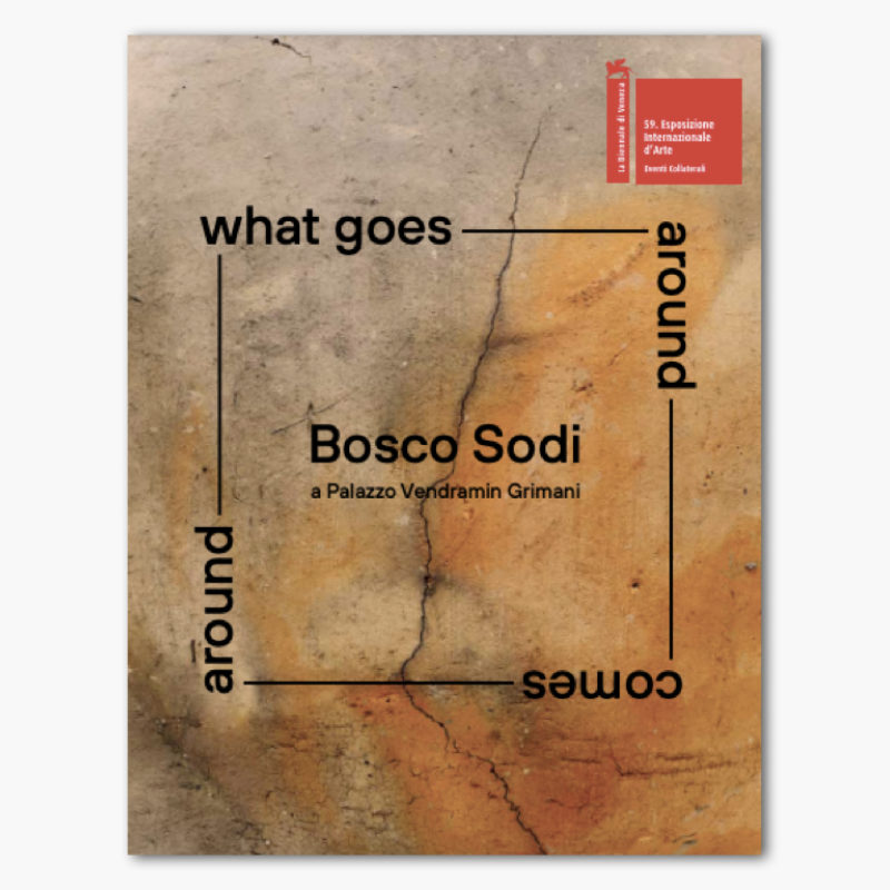 Bosco Sodi a Palazzo Vendramin Grimani. What Goes Around Comes